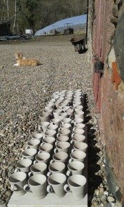 Albert and my pots soaking up the sun